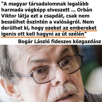 bogar.jpg